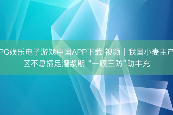 PG娱乐电子游戏中国APP下载 视频｜我国小麦主产区不息插足灌浆期 “一喷三防”助丰充