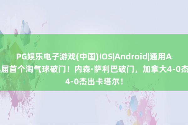PG娱乐电子游戏(中国)IOS|Android|通用APP下